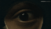 Haunted House Hello GIF by Arrow Video