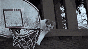 Alley-Oop Help GIF