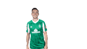 Kevin Möhwald Bundesliga Sticker by SV Werder Bremen