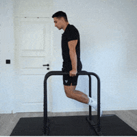 Calisthenics Daniel Flefil GIF