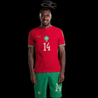 Fifa World Cup Morocco GIF by Respective