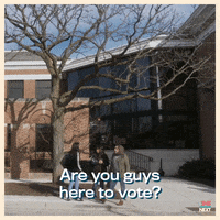 Vote Voting GIF by And She Could Be Next the Film