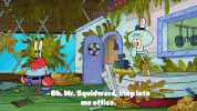 episode 1 whirly brains GIF by SpongeBob SquarePants