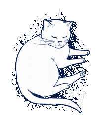 ChloeRey cat white kitty sleepy Sticker