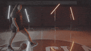 Santa Clara University Go Broncos GIF by Santa Clara Broncos