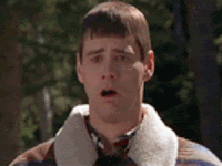 GIF by Giphy QA