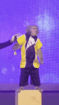 Fun Monkey GIF