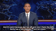comedy central television GIF