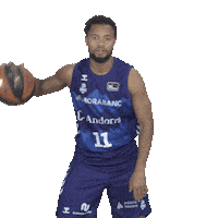 Liga Endesa Sport Sticker by ACB