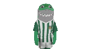 Liga Nos Football Sticker by Rio Ave Futebol Clube