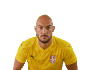 Dmitrovic Sticker by sportmts