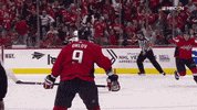 Capitals reaction sports sport celebration GIF