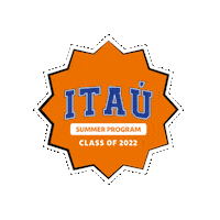 Itau_Miami class of 2022 itau itaú summer program summer program 2022 Sticker
