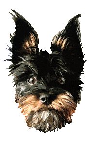 black dog Sticker by AIRVOID