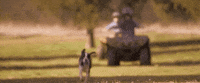 lukebryan luke bryan huntin fishin and lovin every day GIF
