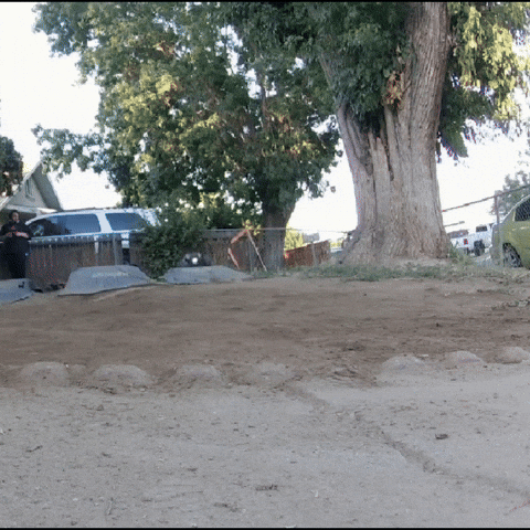 Double Trouble GIF