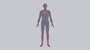 bhfsocialmedia heart body brain diagram GIF