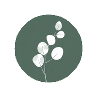 Instagram Branding Sticker by Lifeplannermx