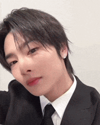 Skz Straykids GIF