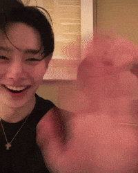 Stray Kids Skz GIF