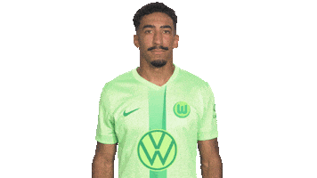 Football Love Sticker by VfL Wolfsburg