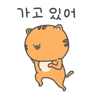 showhi 고양이 심심 핸드폰 호냥이 GIF