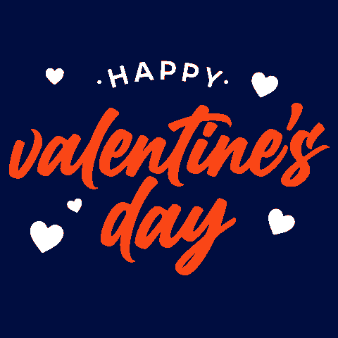 I Love You Valentines GIF by University of Florida