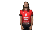 Chenois Sticker by CS Chênois Genève Handball