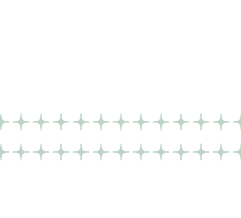 Sparkle Effects Sticker by Sticna mladih