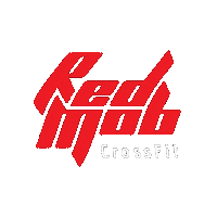Handball Crossfit Sticker by Nacional Handebol