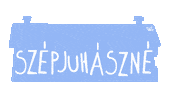 Park Budapest Sticker
