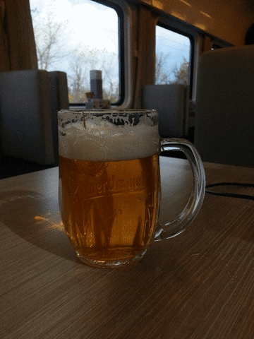 beer GIF
