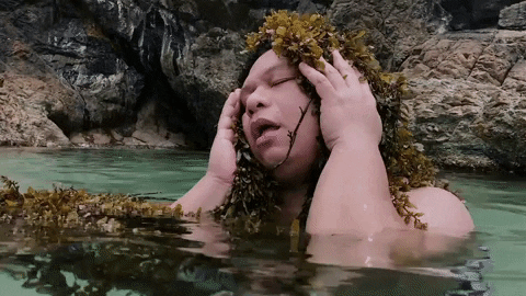 Jazz Seaweed GIF by The Itchyworms