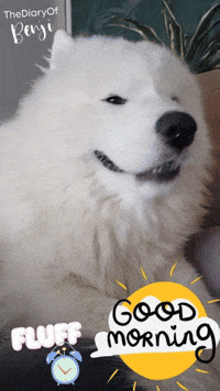 Morning Alarm GIF