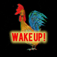 Good Morning Goedemorgen GIF