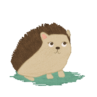 Hedgehog Porcupine Sticker