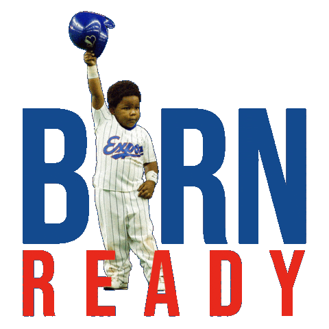 Blue Jays Baseball Sticker by Franck Arnel