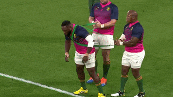 World Cup Sport GIF by World Rugby