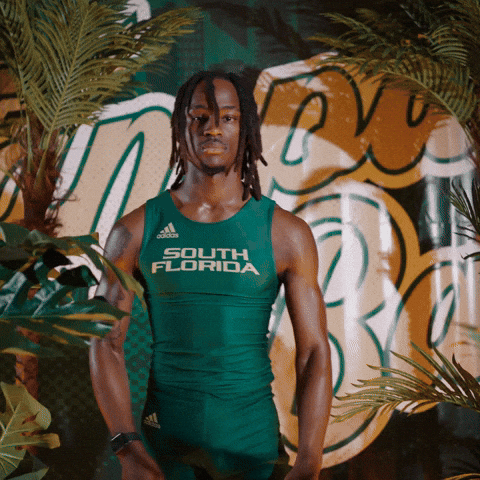 South Florida Horns Up GIF by USF Athletics
