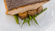 Gordon Ramsay Fox GIF by Masterchef