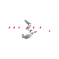 theprojectthree ppf p3 tint tinted Sticker