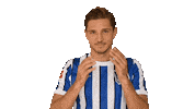 Niklas Stark Facepalm Sticker by Hertha BSC