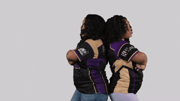 Ppp D3 GIF by Albion College