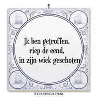 Humor Nl GIF by Tegelspreuken.nl