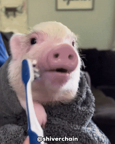 Monster Pig GIF
