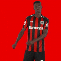 Party Dancing GIF by Bayer 04 Leverkusen