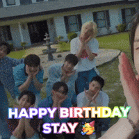 Birthday Stray Kids GIF