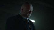 mad city fox GIF by Gotham