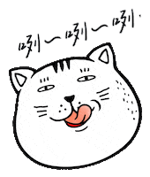 Cat Fatcat Sticker