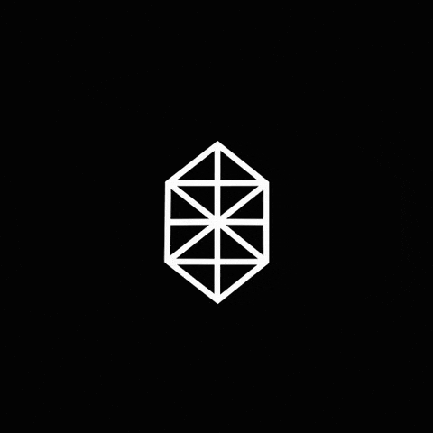 MAINSTAGE_NL mainstage mainstage brabanthallen mainstage den bosch mainstage s-hertogenbosch GIF